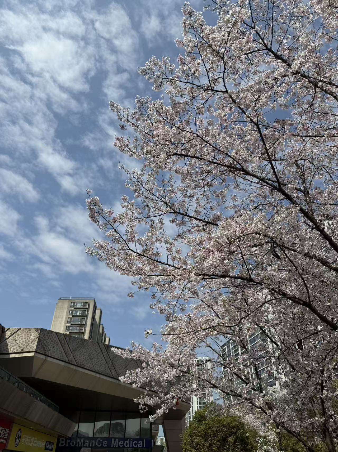 spring2